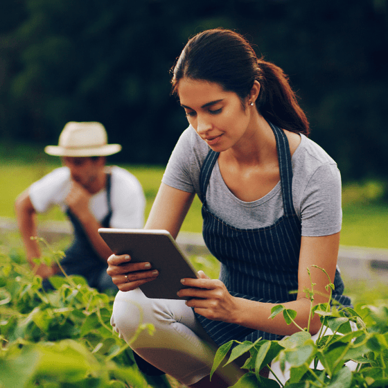 AgTech Irrigation